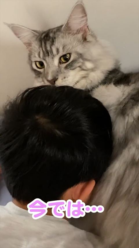 今ではテロップ