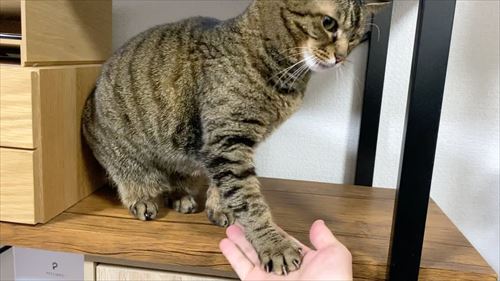 オススメ