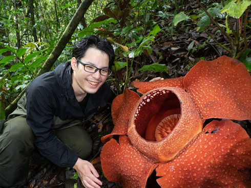世界最大の花「ラフレシア」を奇跡的に観測 “幻の花”のレアな