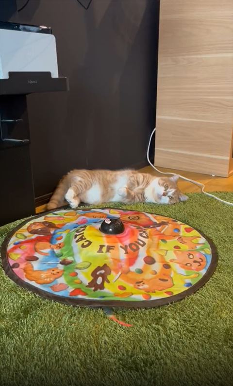 真ん中下にきた猫じゃらし