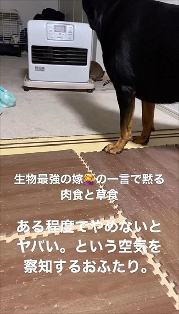 ママのカミナリ