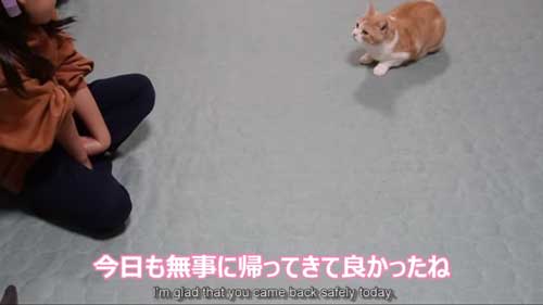 次女の帰りがうれしい猫