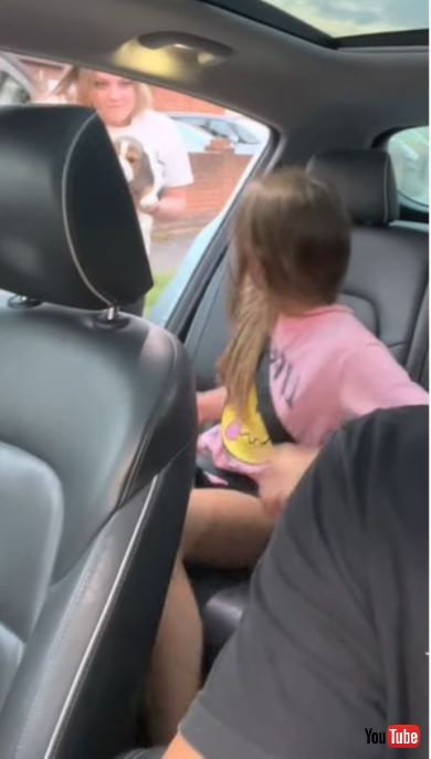 ワンコを迎えて涙する少女