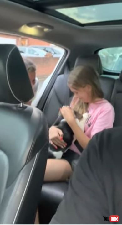 ワンコを迎えて涙する少女