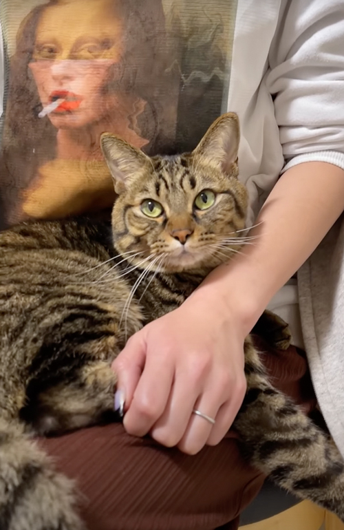 パパの「くるか？」