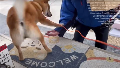 箱もつ配達員にお手