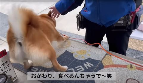 おかわり食べるテロップ