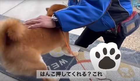 ハンコ押してくれるテロップ