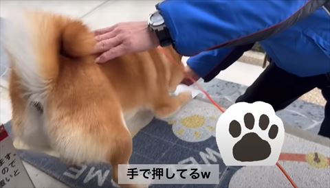 手で押してるテロップ