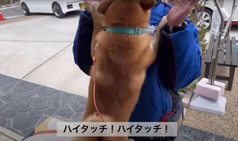 ハイタッチテロップ