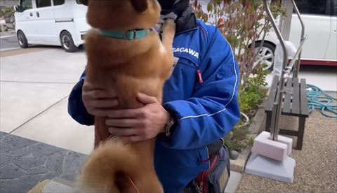 抱きしめ合うワンコと配達員