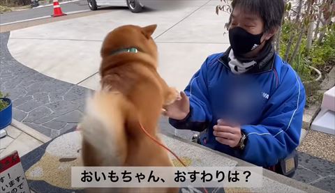 おいもちゃんおすわりテロップ