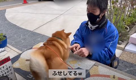 ふせしてるテロップ