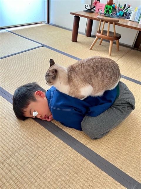 息子さんの背中に猫アップ