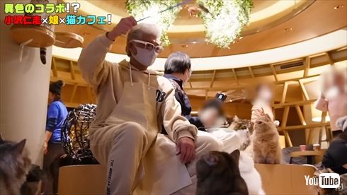 ネコカフェを満喫する“顔面凶器”こと小沢仁志