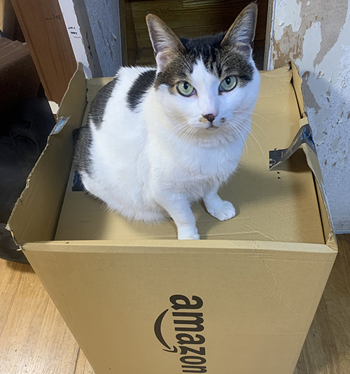アマゾン箱