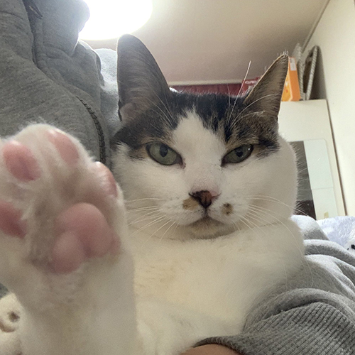 抱っこしてもらいたい