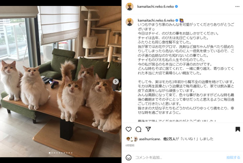 山内健司Instagram