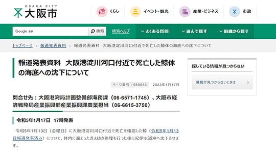 大阪湾　マッコウクジラ　淀ちゃん　海洋投棄　標本化　なぜ