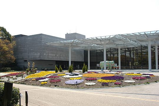 大阪湾　マッコウクジラ　淀ちゃん　海洋投棄　標本化　なぜ