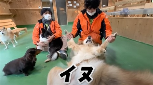 飼育員なら当てて当然の帰れま10