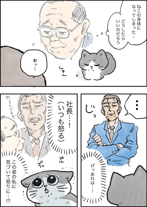 転生 猫