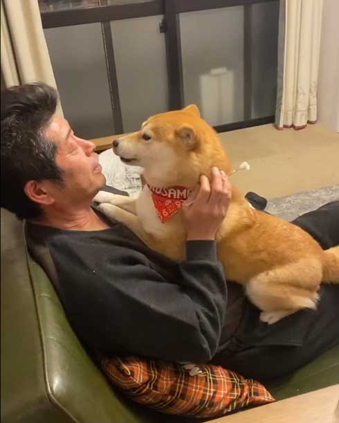 お父さんと柴犬