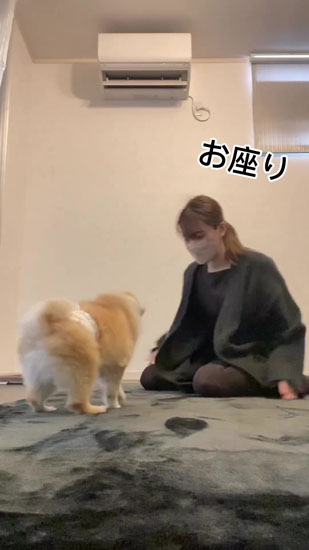 指示される銀次郎くん