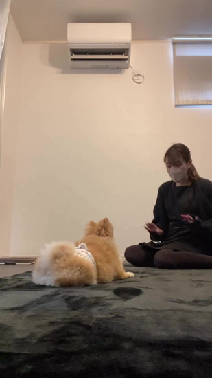 ふせをする銀次郎くん