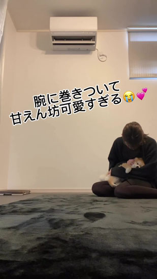 飛びこむワンコ