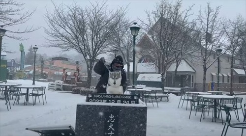 誰もいない遊園地でワンコとはしゃいできた