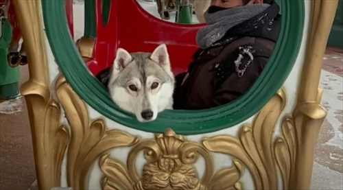 誰もいない遊園地でワンコとはしゃいできた