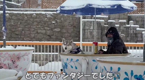 誰もいない遊園地でワンコとはしゃいできた