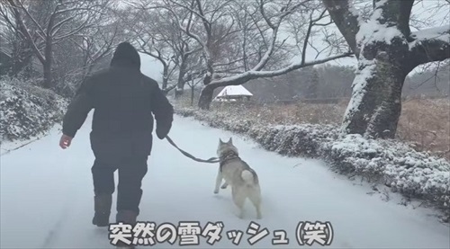 誰もいない遊園地でワンコとはしゃいできた