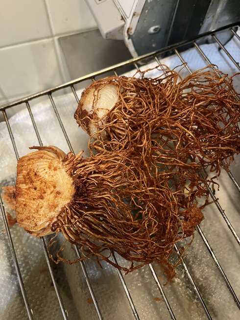 ネギの根っこの唐揚げ02