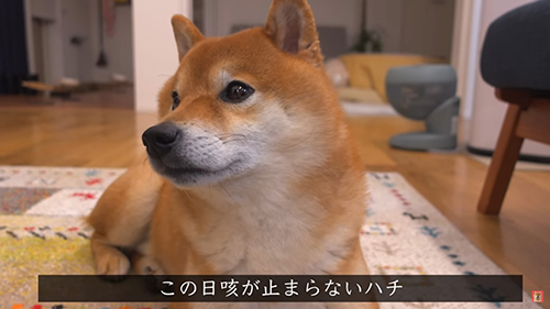 咳が止まらない