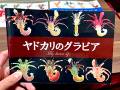 海の生物のエッチな本だとっ……!?　貝殻を脱がされ、あられもない姿をさらす同人誌『ヤドカリのグラビア』が話題