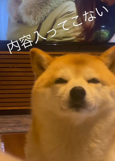 テレビの女優ファーコート