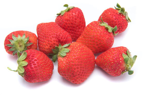 お風呂でアシカショー