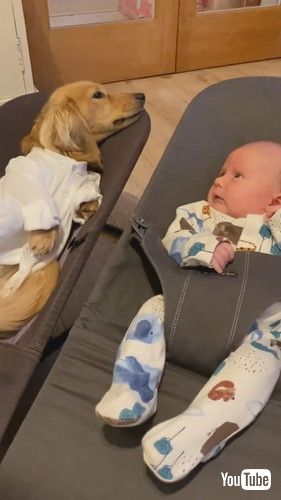 じっと見る赤ちゃん