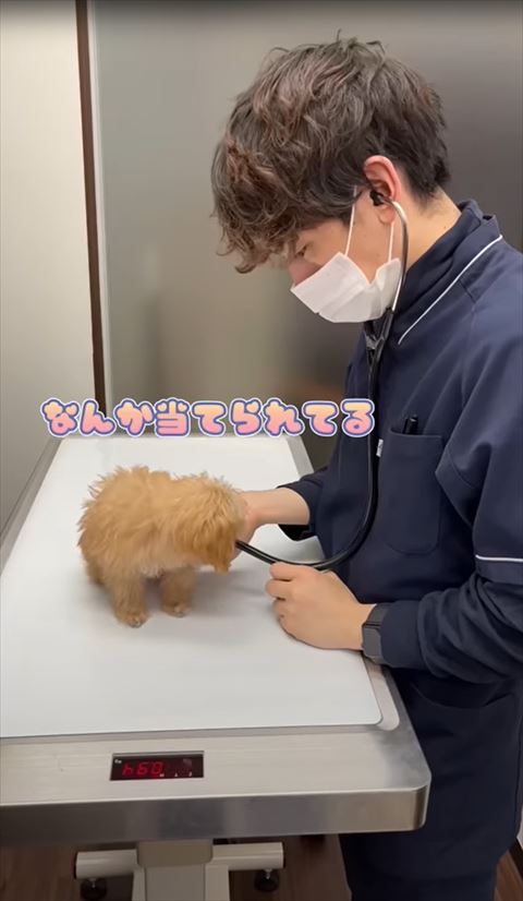 なんか当てられてるテロップ