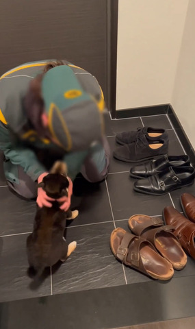 お座りワンコと見つめ合うお兄さん