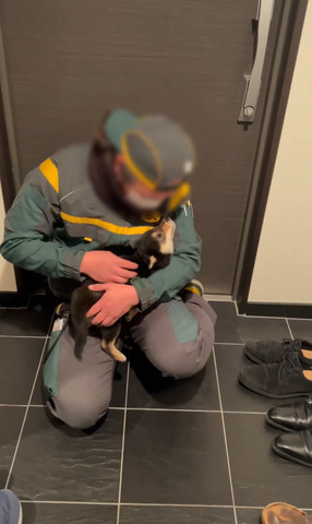 抱っこされるワンコ横顔