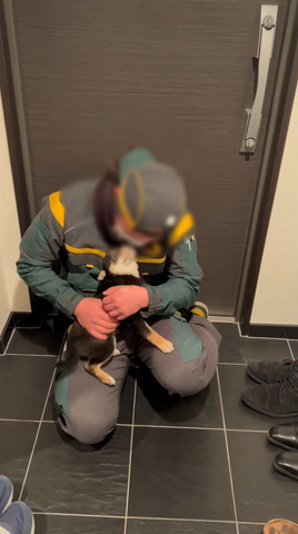 顔を近づけるワンコとお兄さん