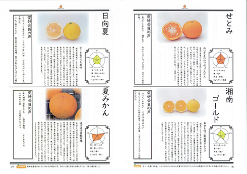 同人誌『みかんのすゝめ』