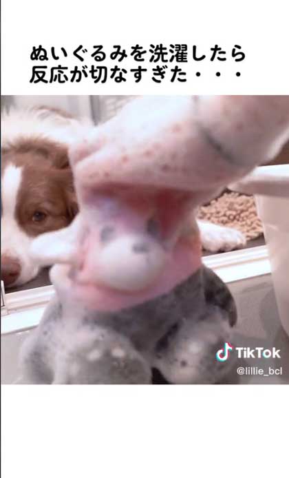 心配な気持ちが伝わる