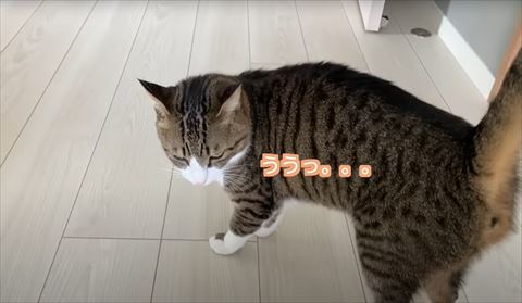 ううっテロップ