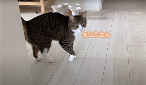 お父さんテロップ