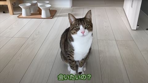 会いたいのテロップ