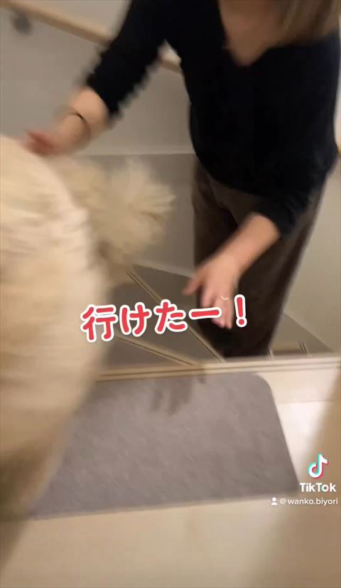 行けたテロップ